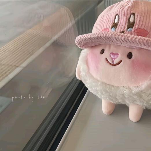 い>ᴗoಣ