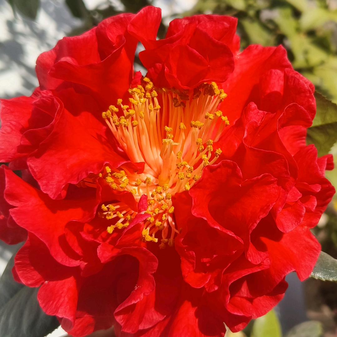 风里雨里小赵的网约车在腾冲等你😄😄