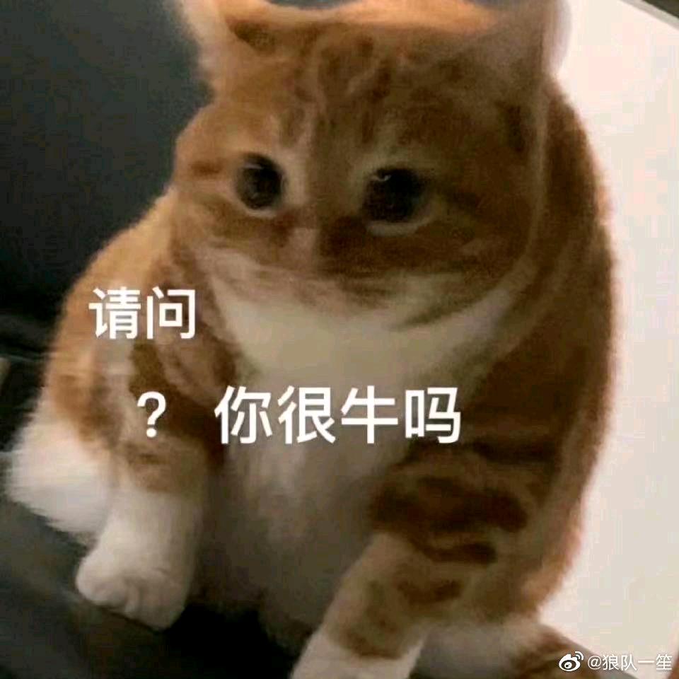 打小就深情