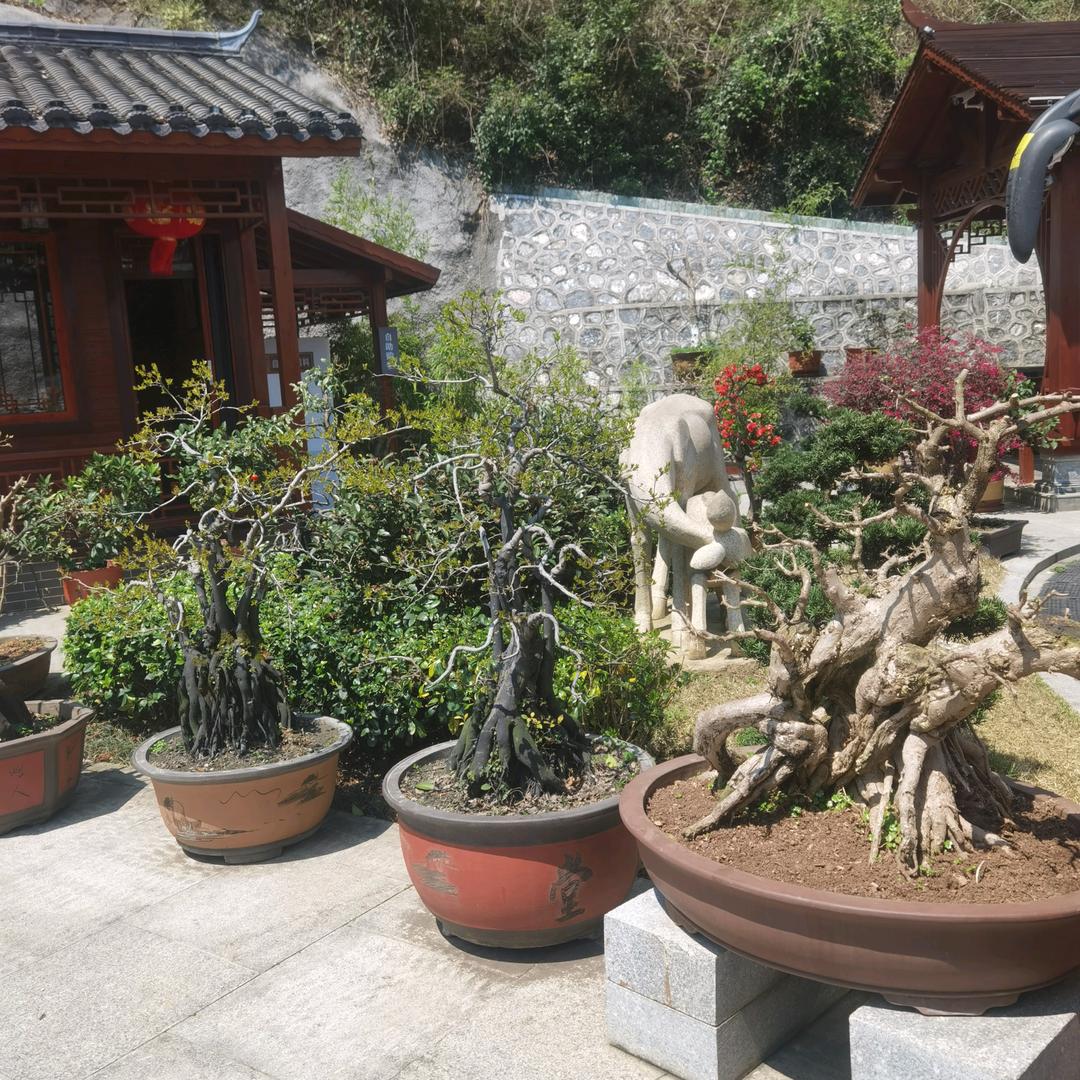 电工吴有粮