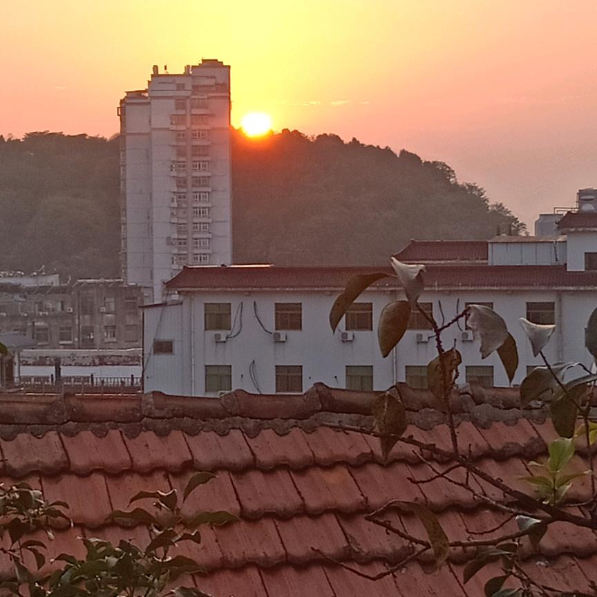 未来