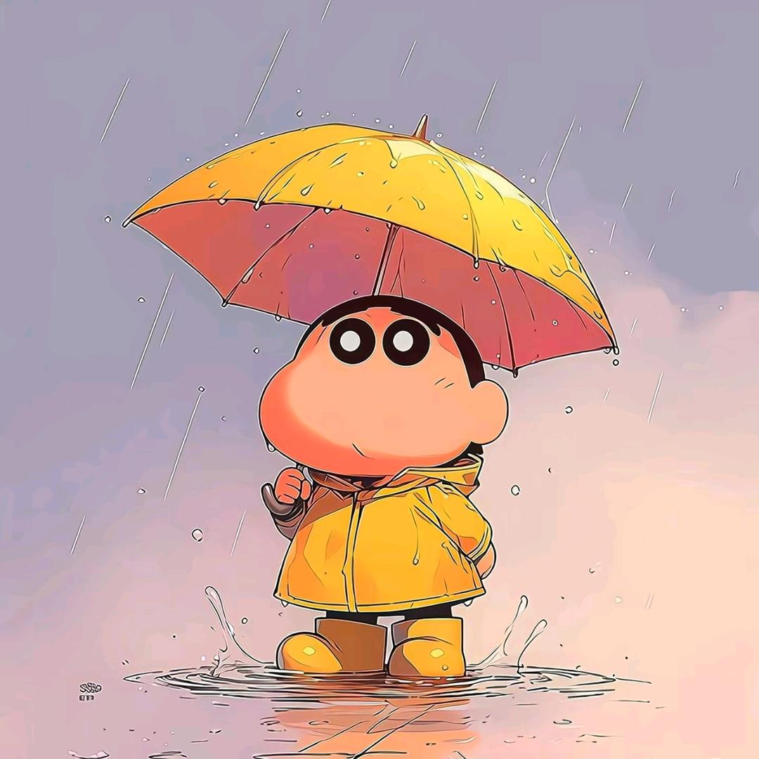 枫