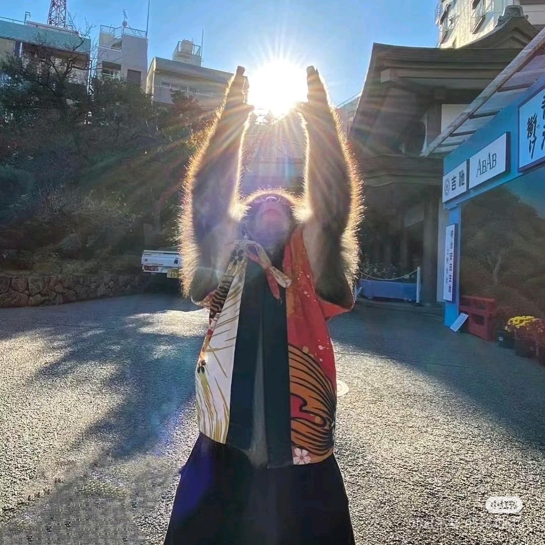 兴奋的大马猴🐒