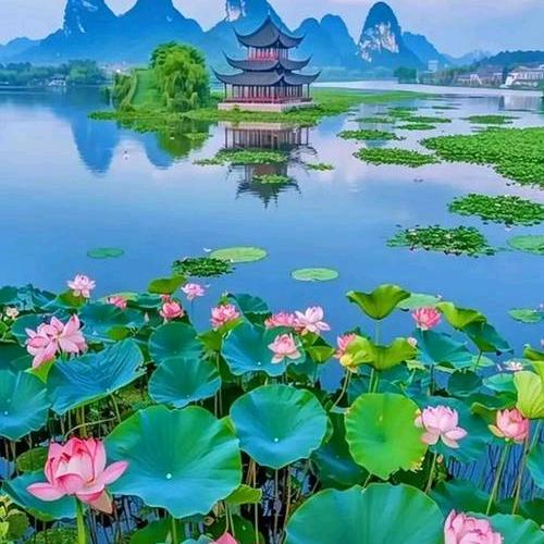 💕好运连连💕