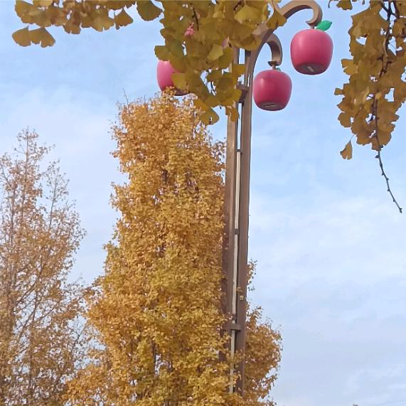 深爱的他🍃🍂