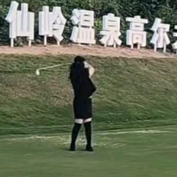 董心