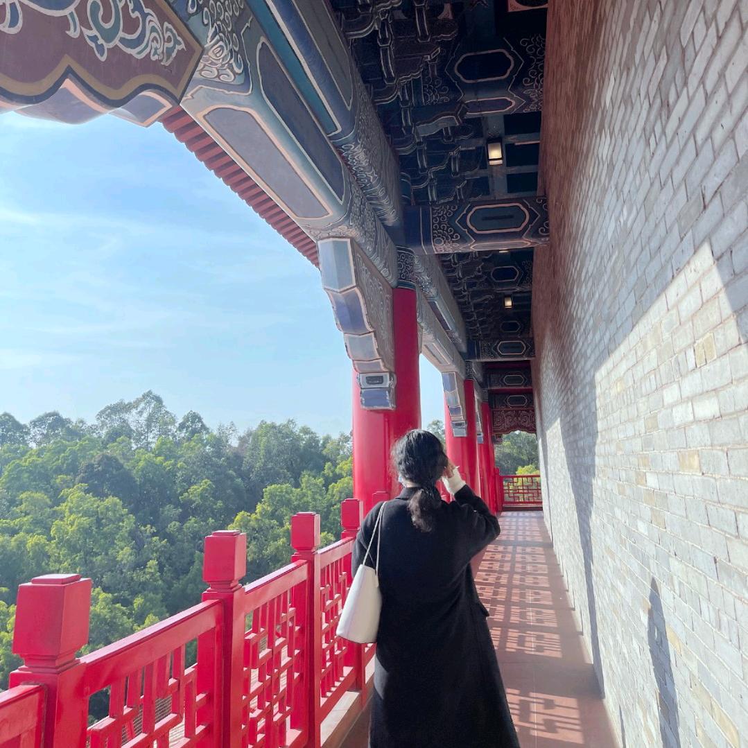 需尽欢