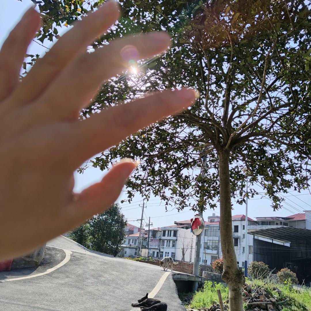 @໑ຼₒ₂5ღ᭄忠于💖终于꧔ꦿ᭄: ໑