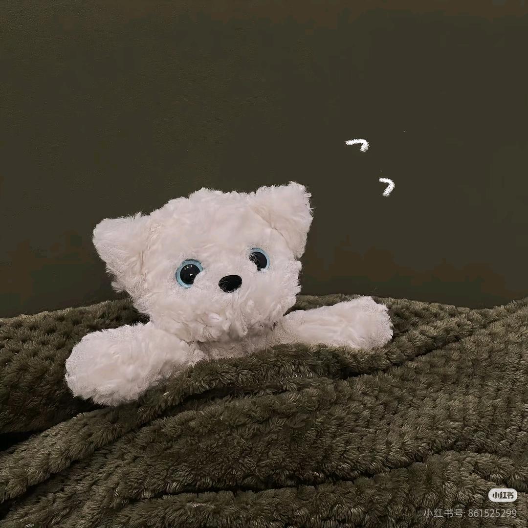 ໑ຼₒ₂5ღ重启🦋人生