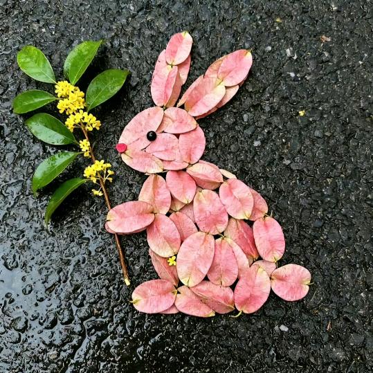 悦枫