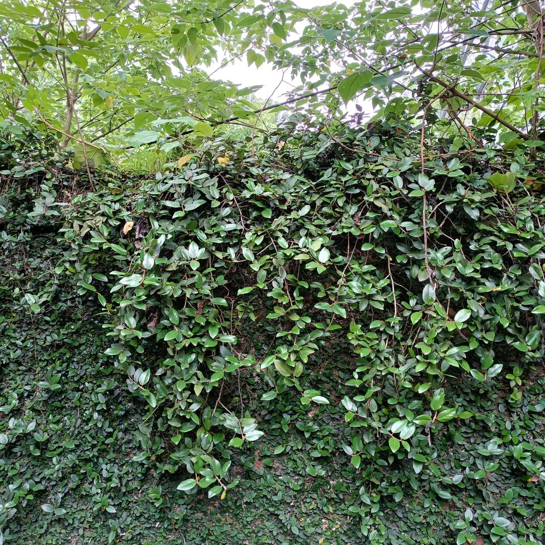一粒 尘埃