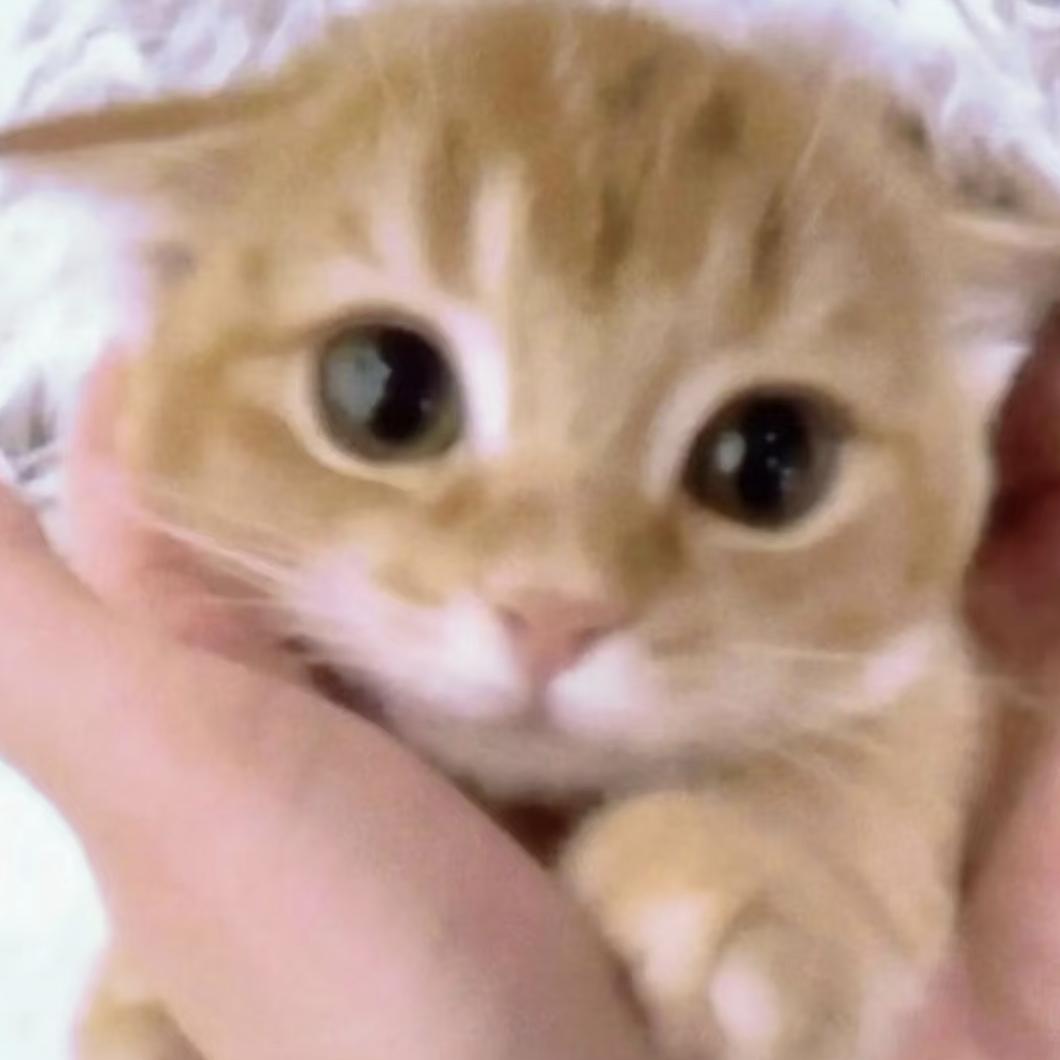 小緣