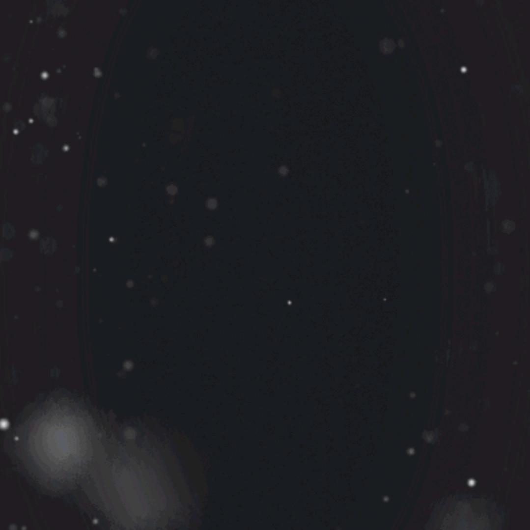 余生我陪你走