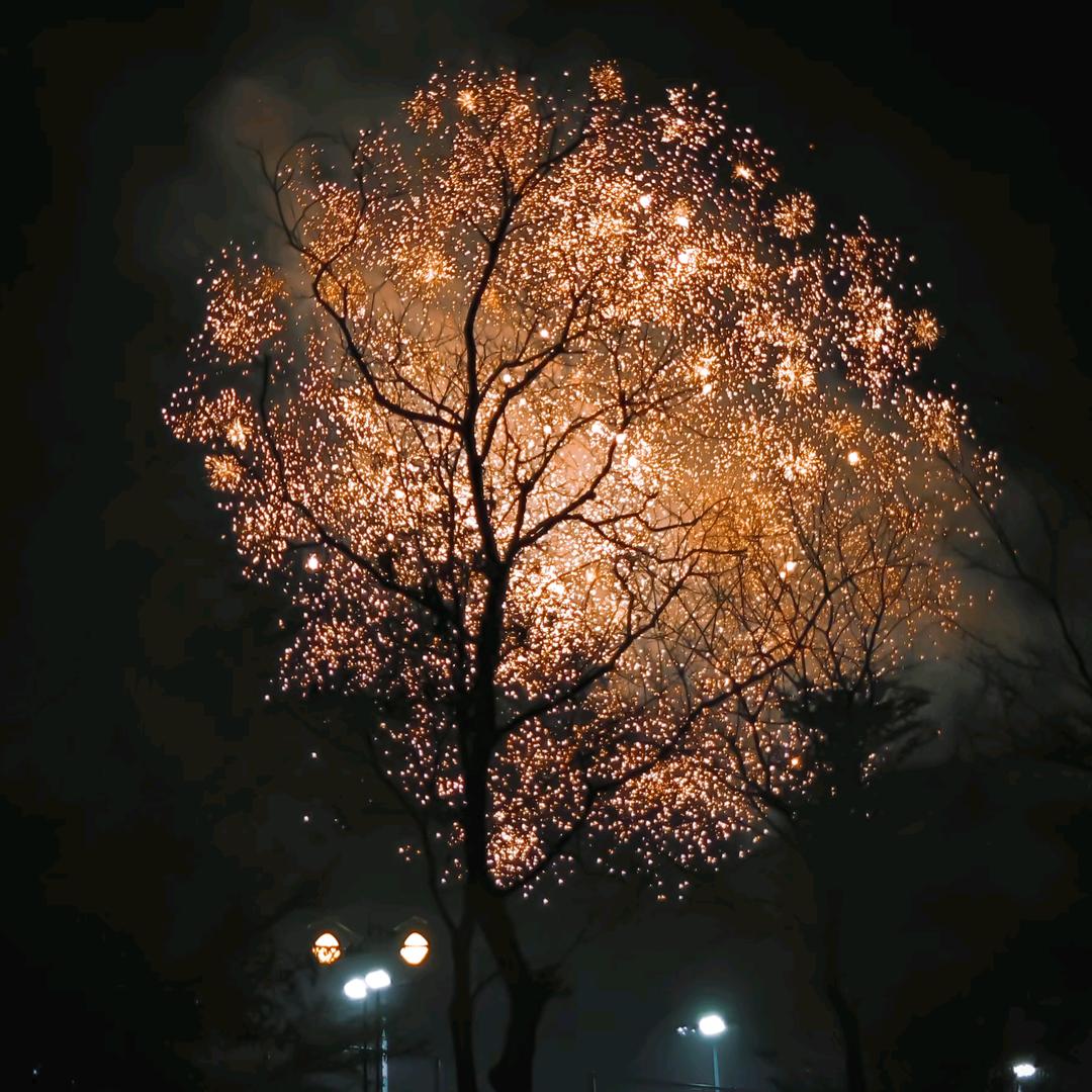 月与海