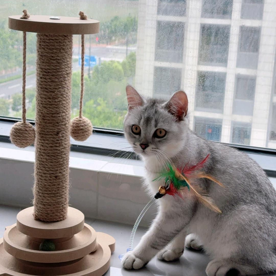 ling🌸🌸拒绝私聊