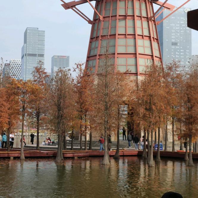 不卷但上进的圆