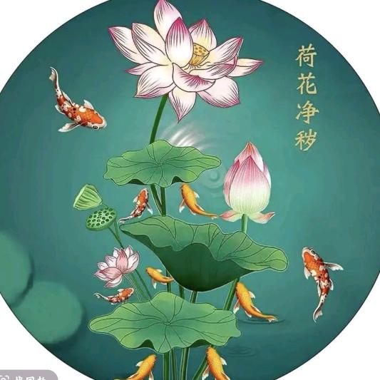 诺威斯