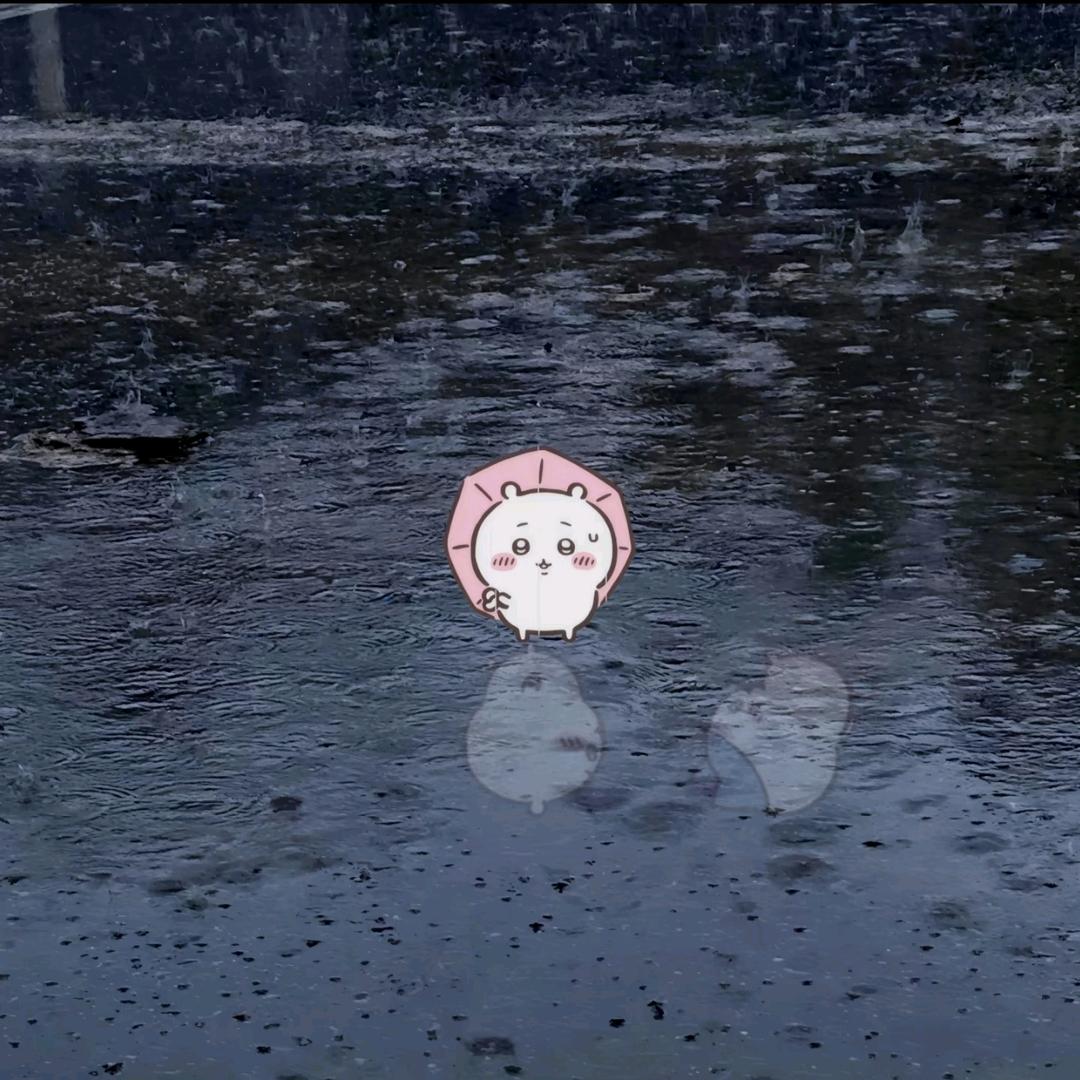 Ꞝꞝ🐽