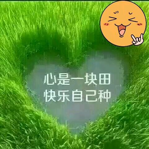 爱护🇨🇳🇨🇳