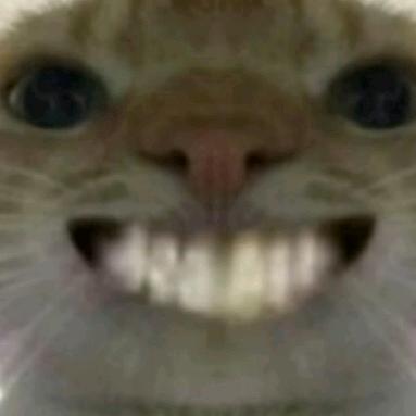 z归零