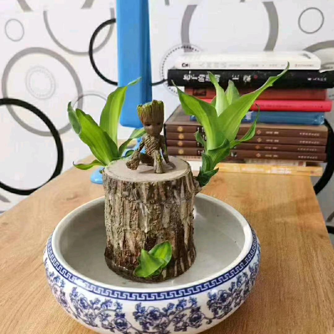 ✨ 雾色星辰🌶️🌶️