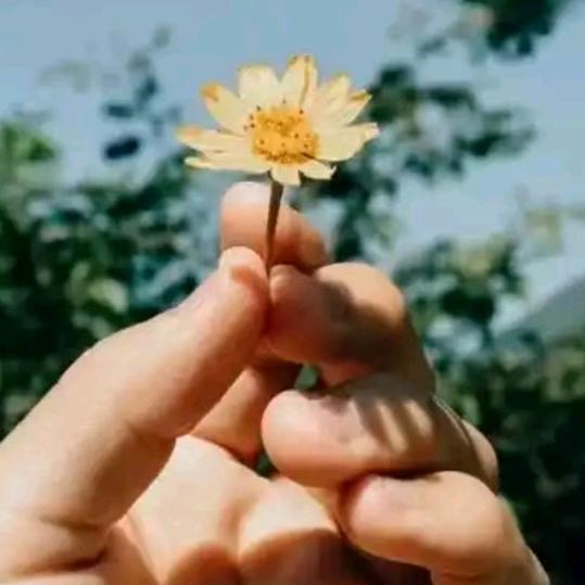 放弃所有，让心归零