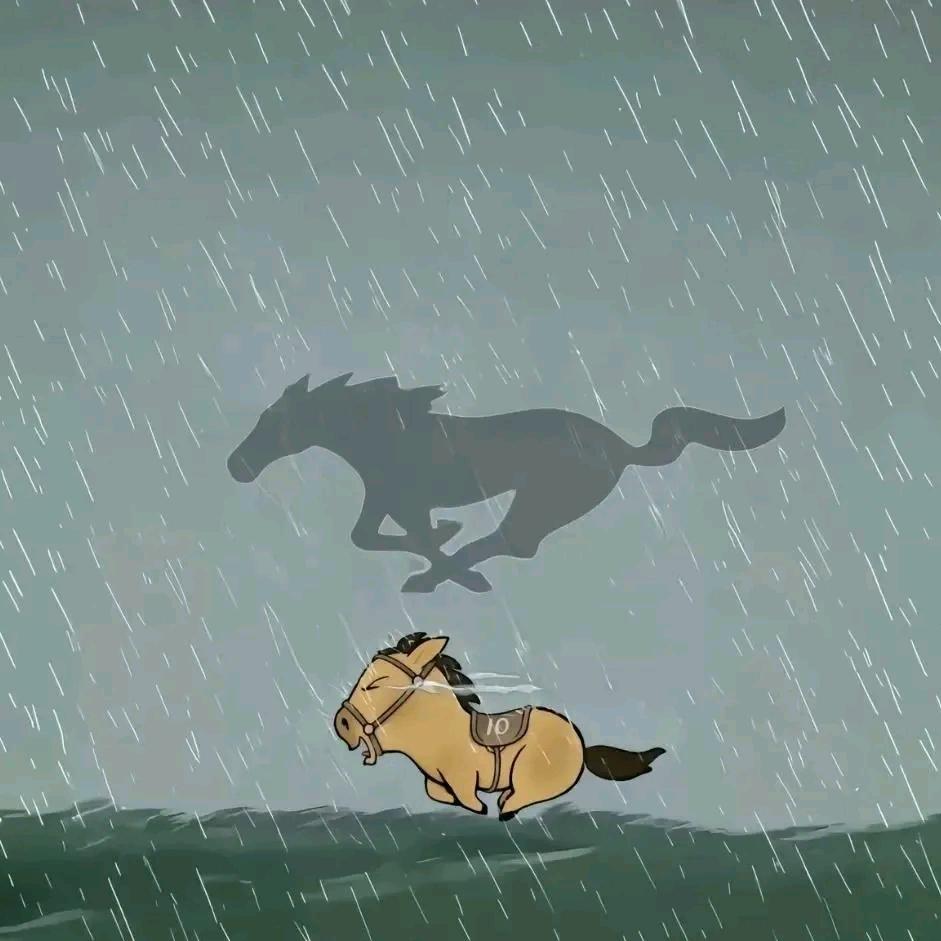 骑着蜗牛追导弹