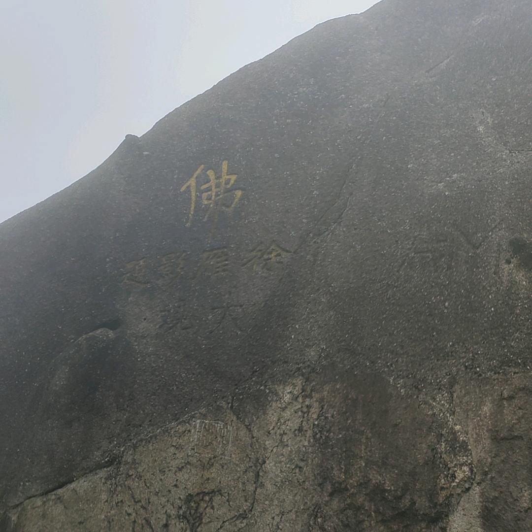 薇。。。