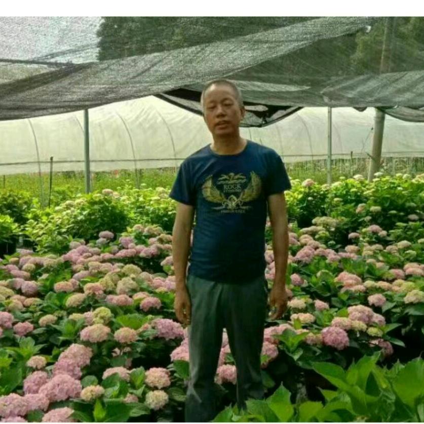 专业卖菜的