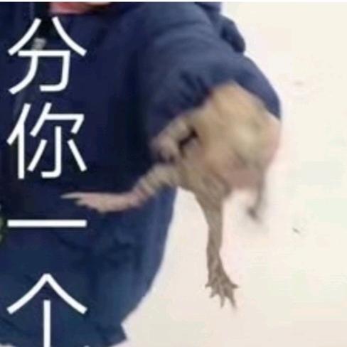 ￰￰￰ㅤㅤ鈡鈡