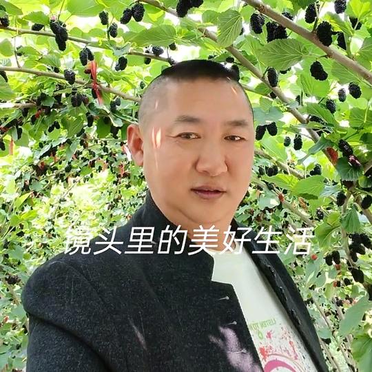 🌲《河南哥》🔥火🎇