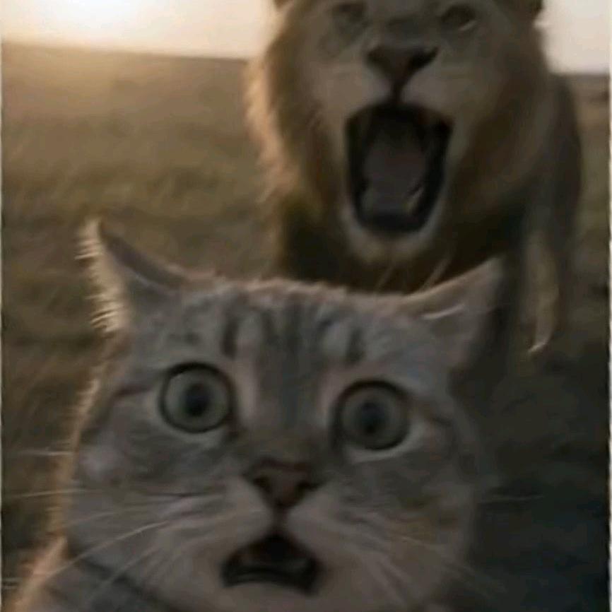 绝对正义的刘某