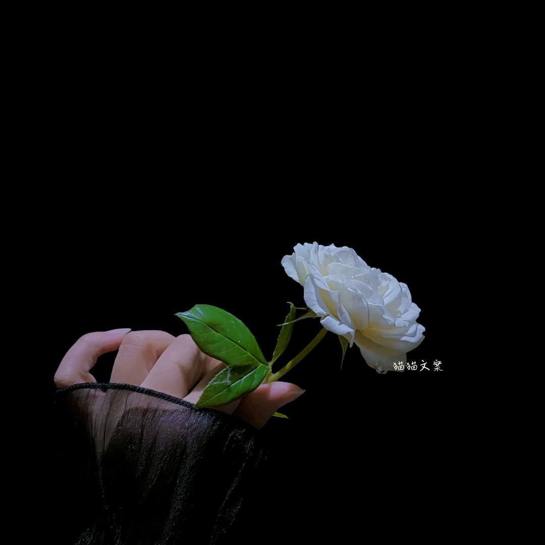 㞮孞（chuxin）
