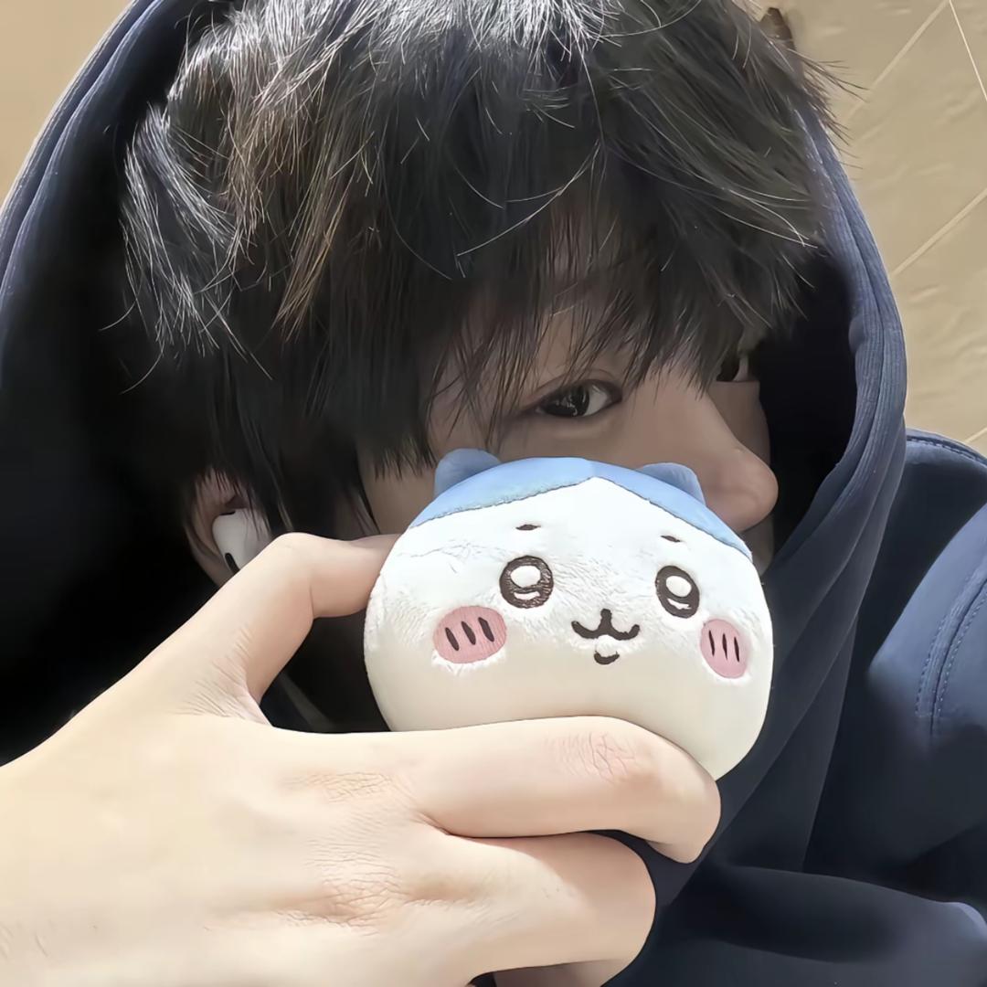 梓离线