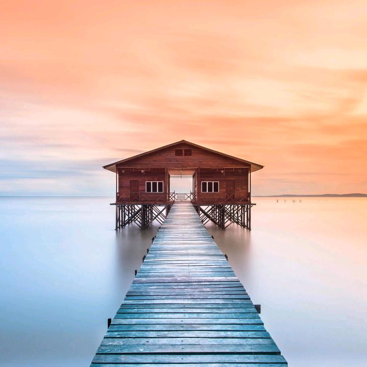 白流