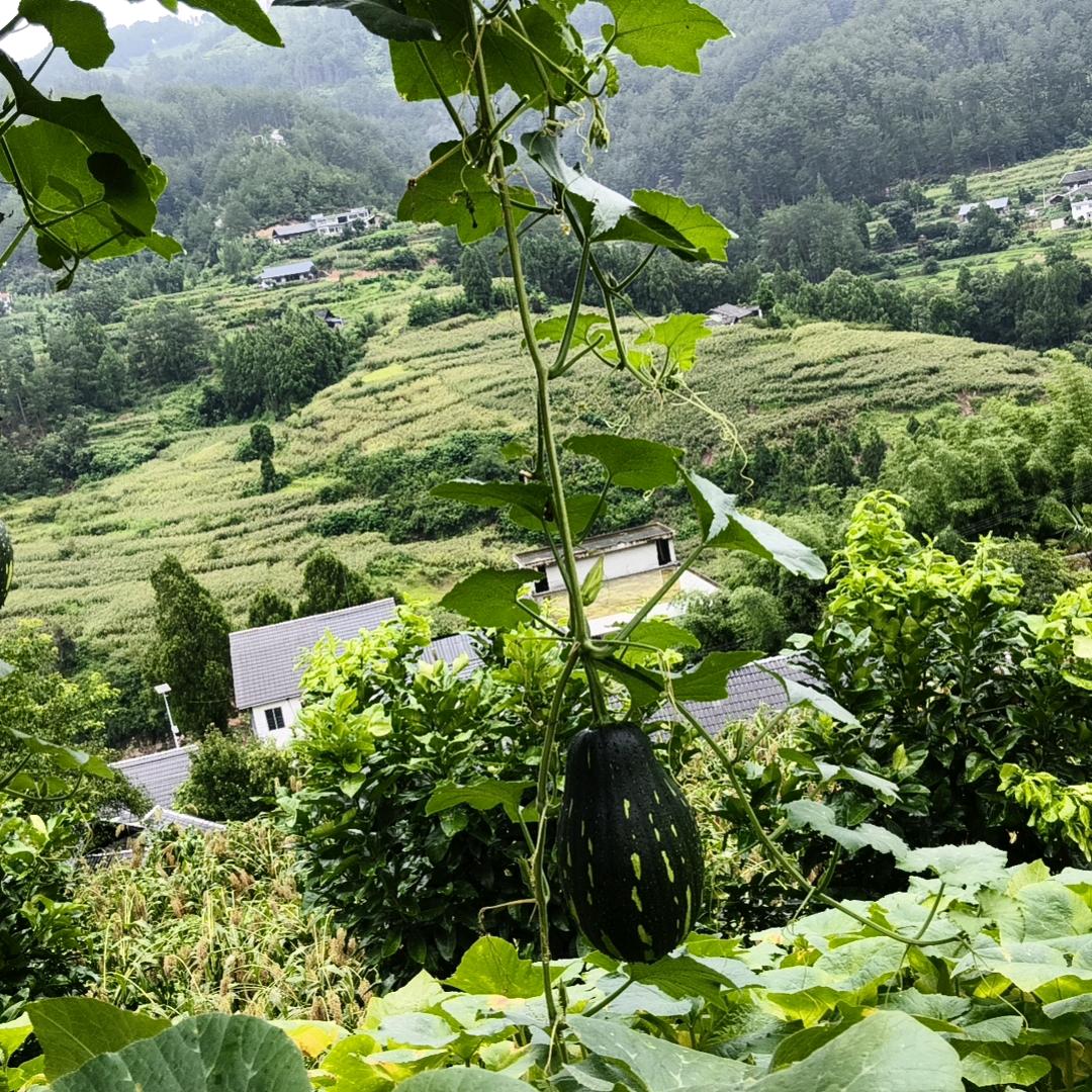 从经往后的姐，怎么开心，怎么过。。 。