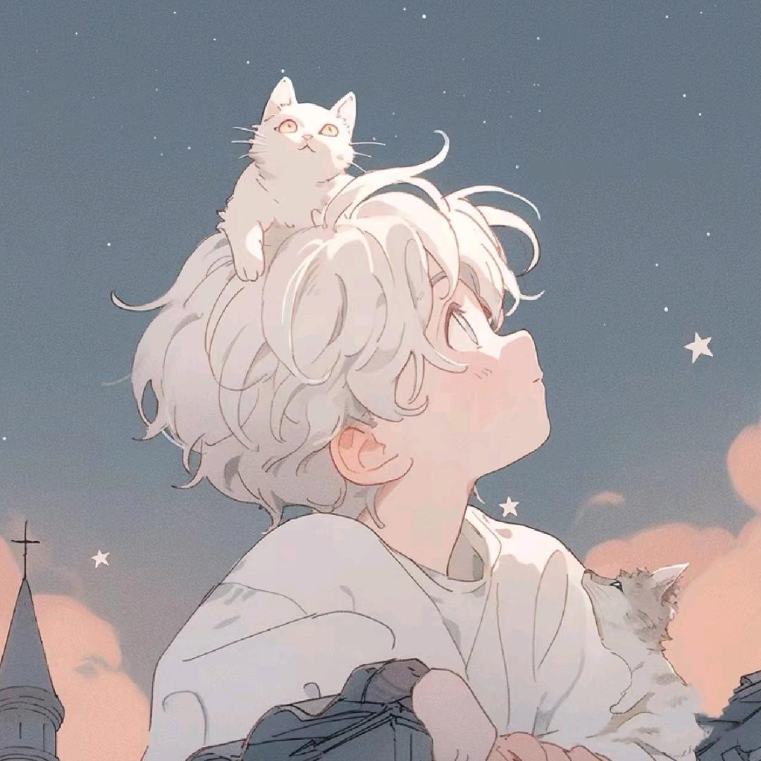 小黑鸟