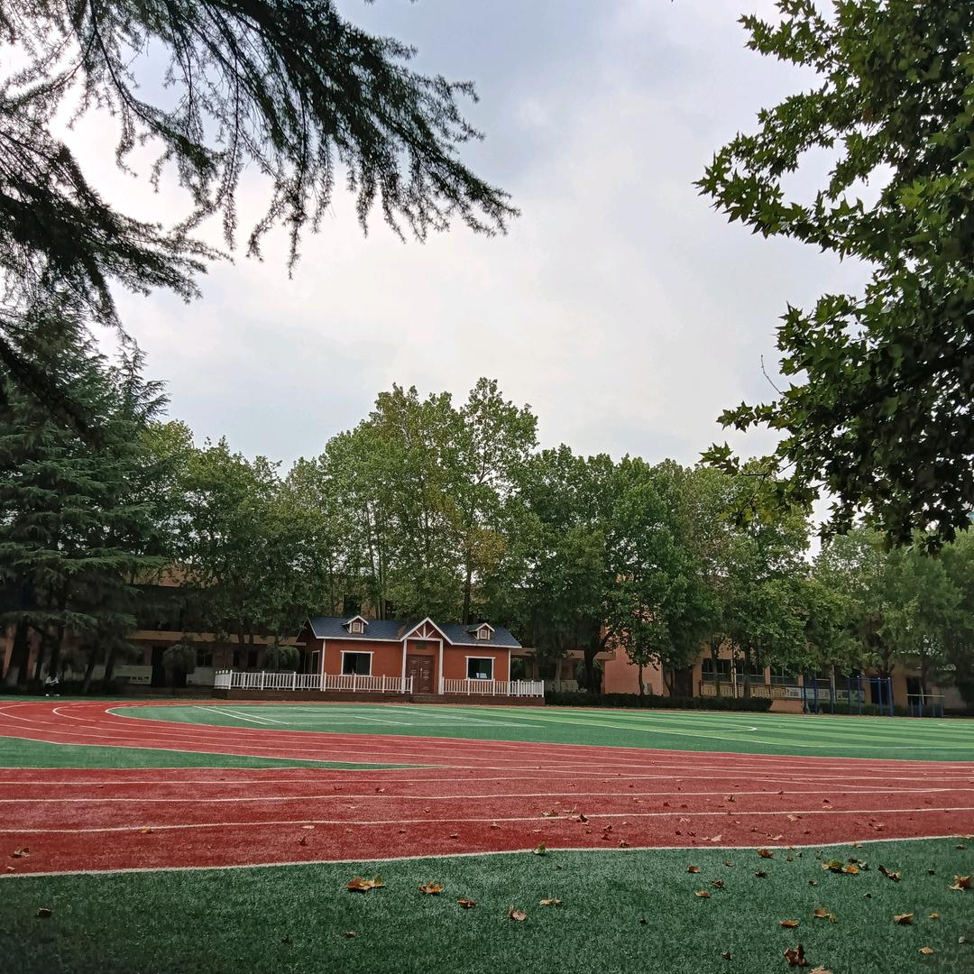 宝鸡升学规划贾老师