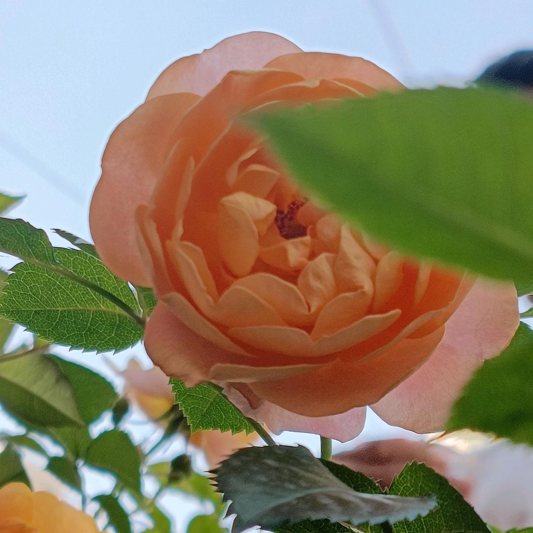 小徐的生活日常