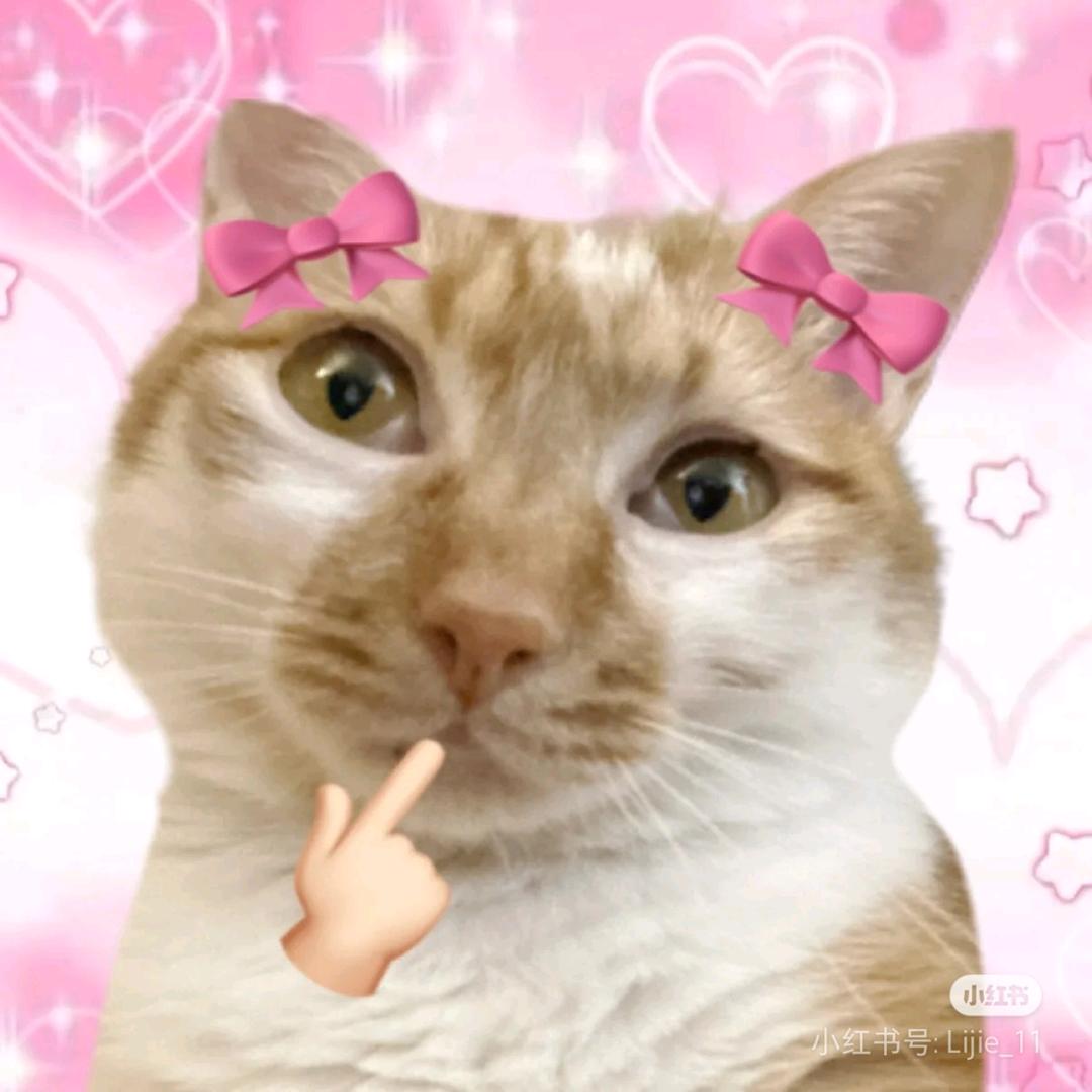 晋院土鸡蛋猫（毛毛学姐）