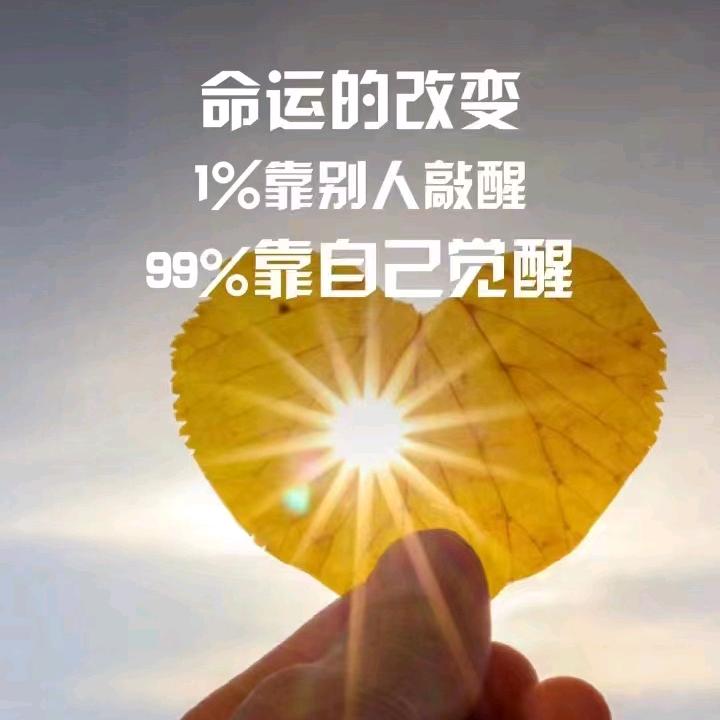多多@zw