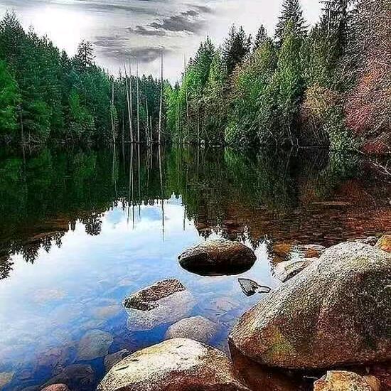 聚星台球俱乐部（花园商业中心店）