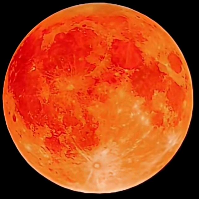 唐哥（有缘来相会）