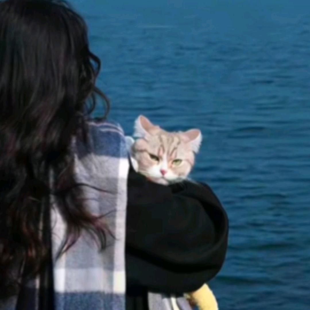 ( ﹡ˆoˆ﹡ )
