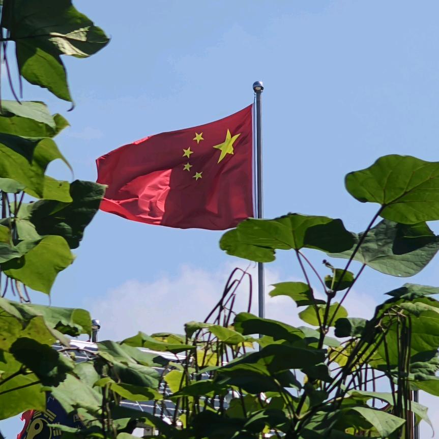 胡清宇(九宫奇易）