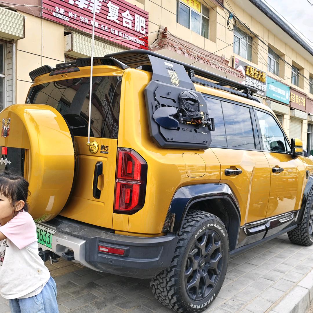 马嘉诚🌞黄金豹公益救援