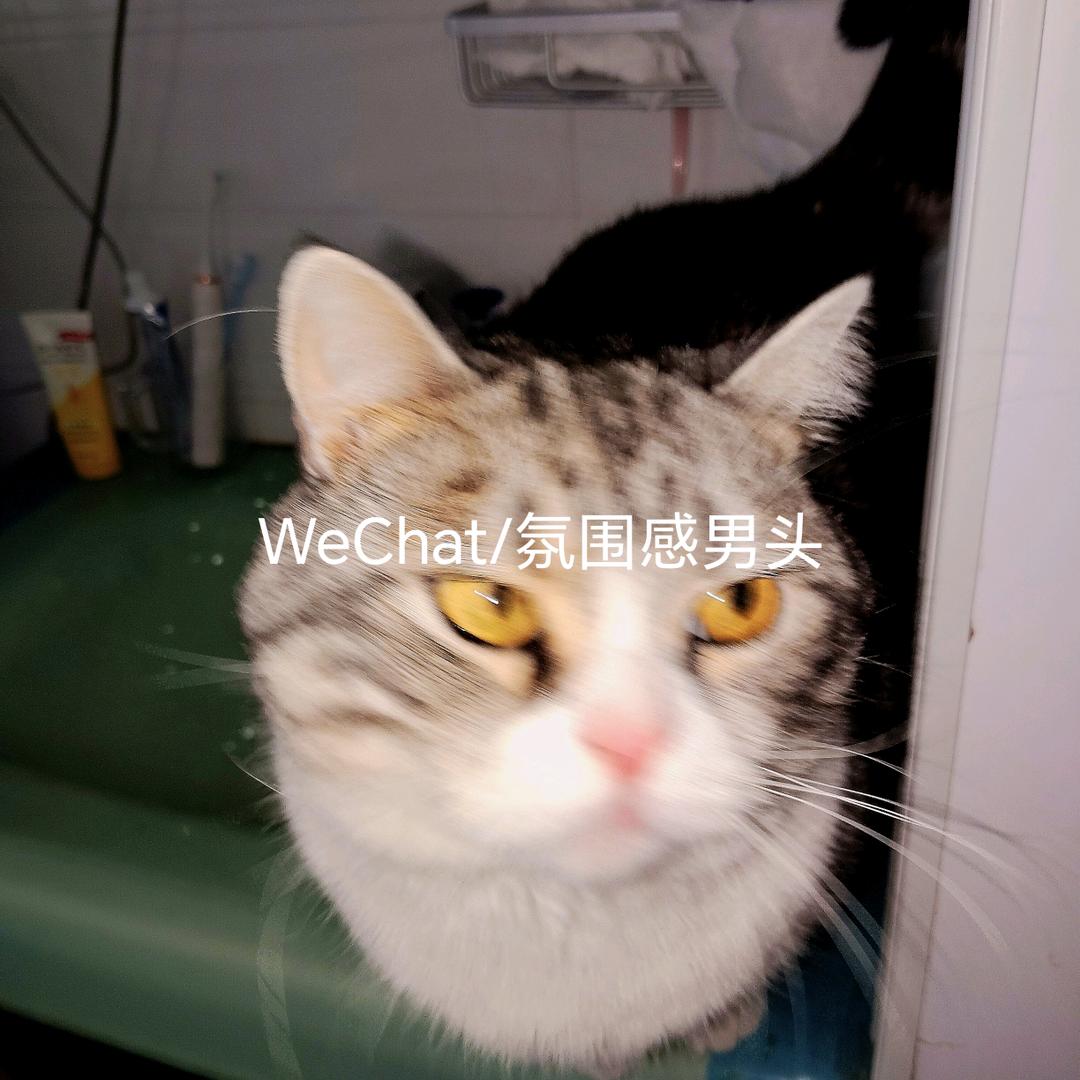 岁岁有个精神照(每天都要建模版求监督)