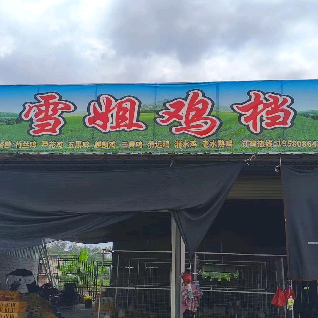 白马垌尾雪姐鸡档