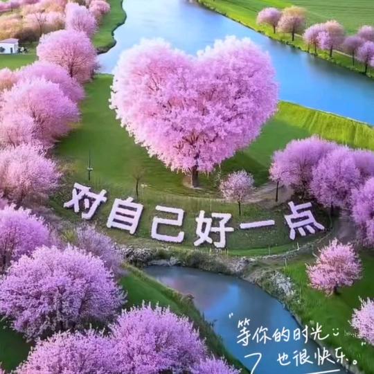 🌸雪儿