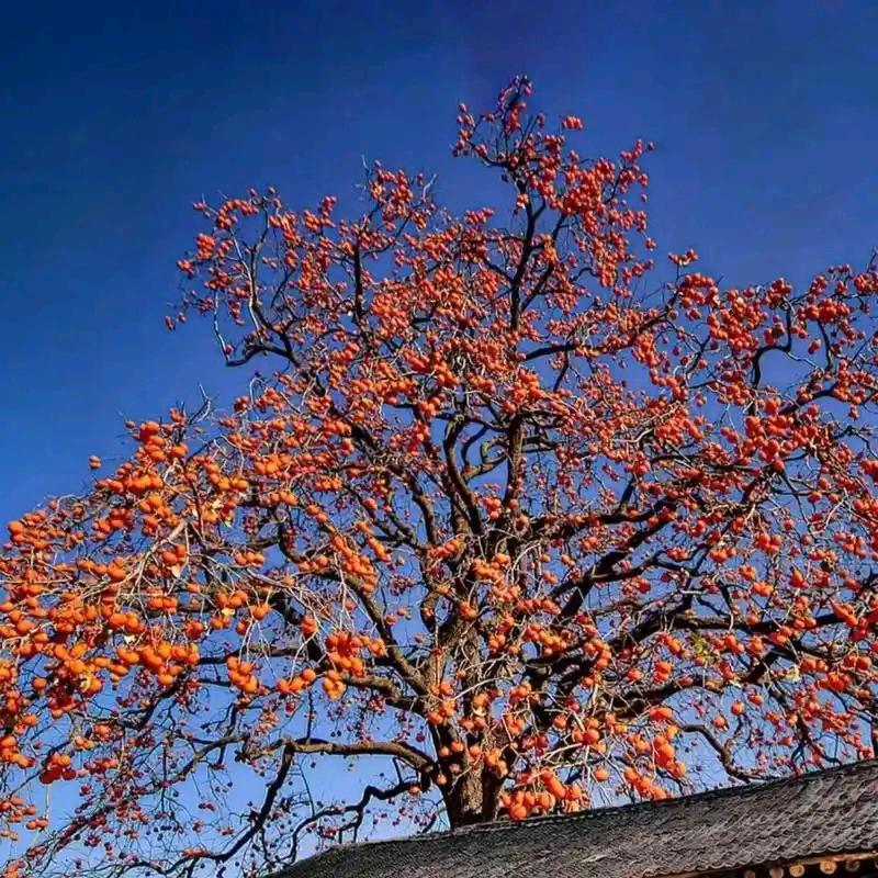 美涂工匠仿石漆艺术漆，